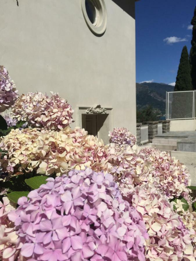 Maison Blanche Dervio Esterno foto